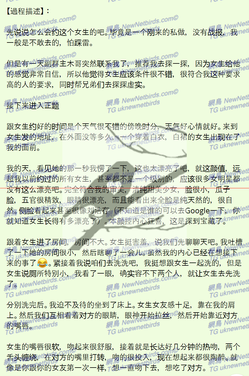戰號 295 2.png